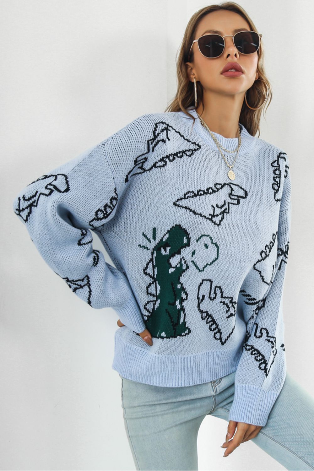 Dinosaur Pattern Round Neck Sweater